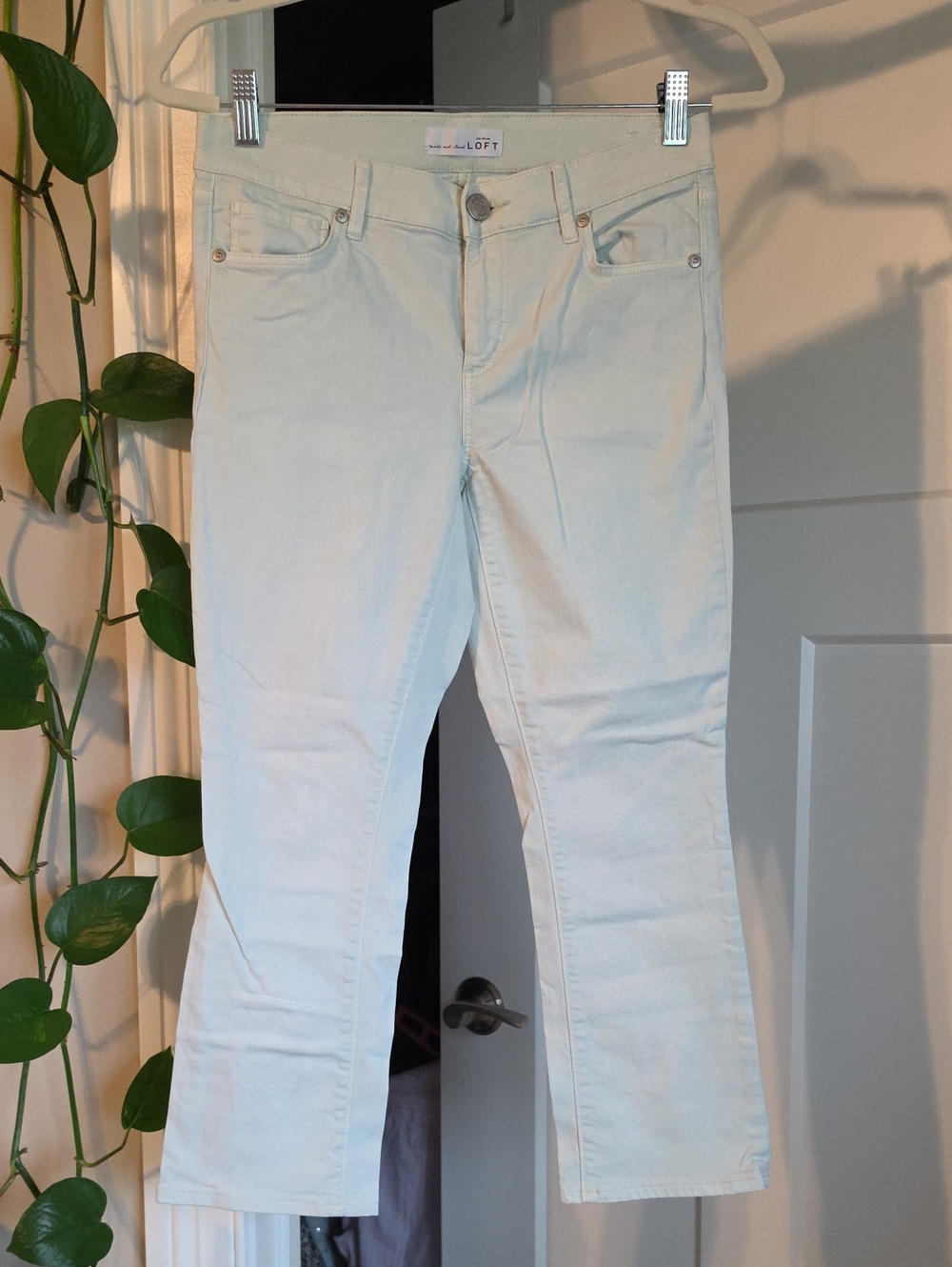 LOFT Mint Cropped Straight-Leg Jeans